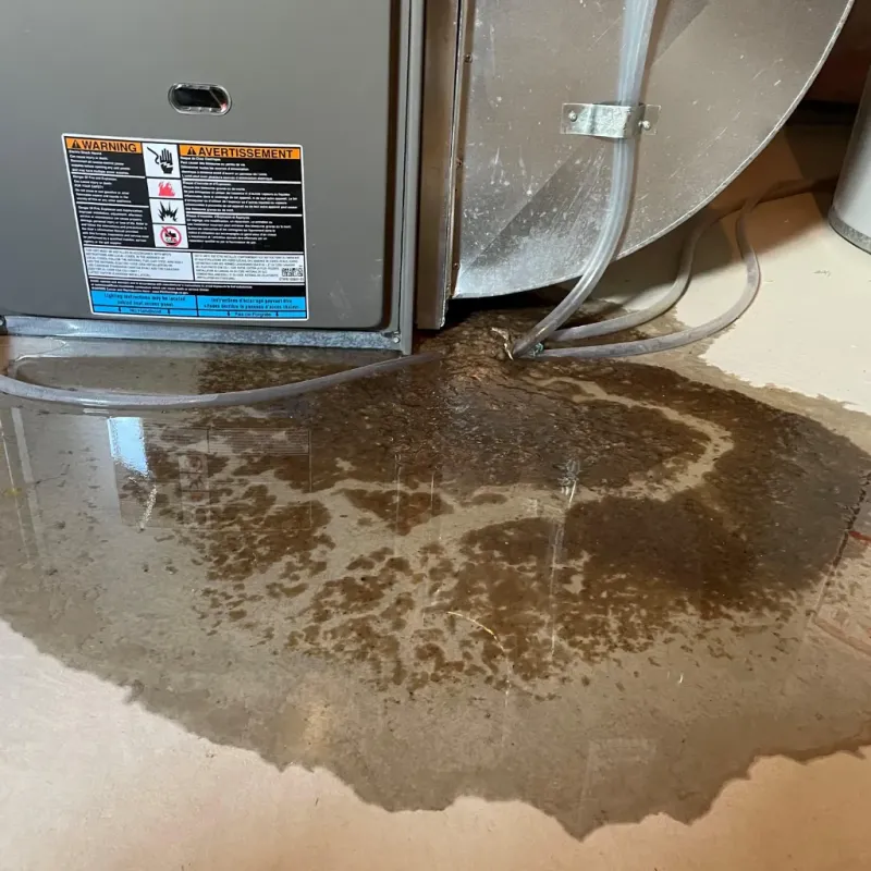 Appliance Leak Cleanup in West Dennis, MA